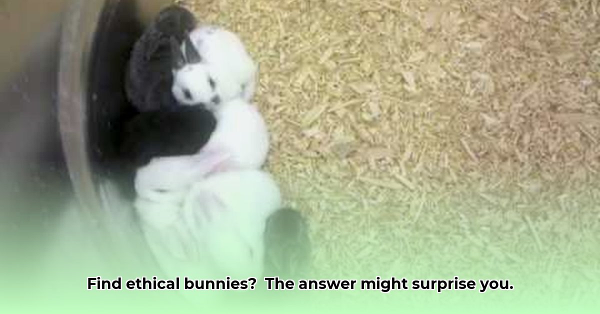 does-tractor-supply-sell-rabbits